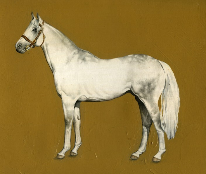 White horse, watercolour and acrylic