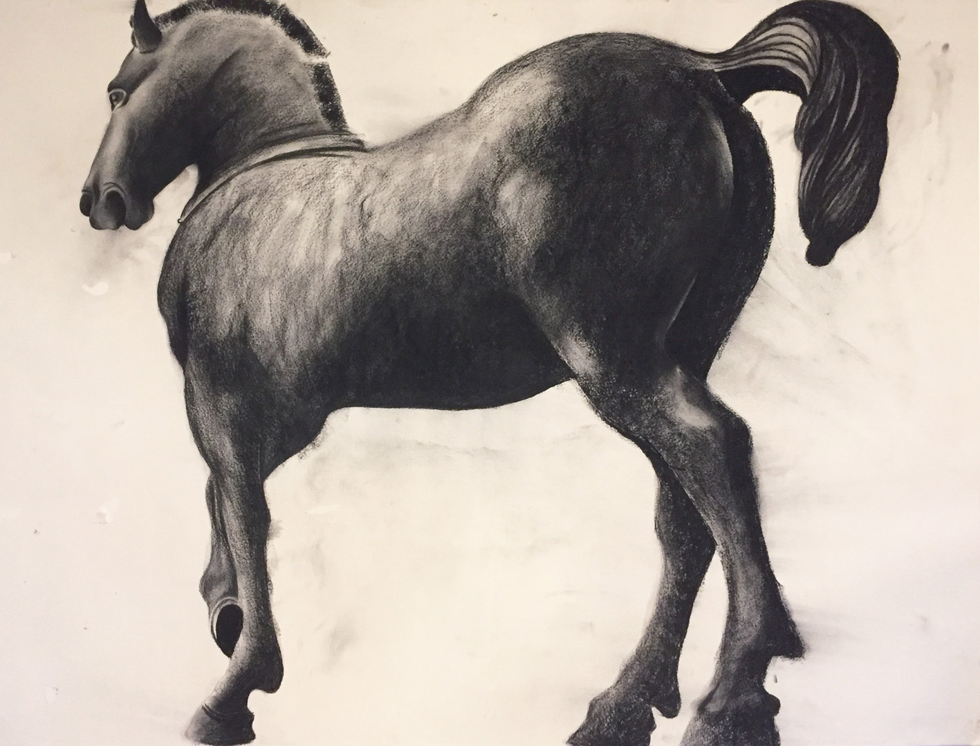 ‘Horse at St Marks Square’ Charcoal