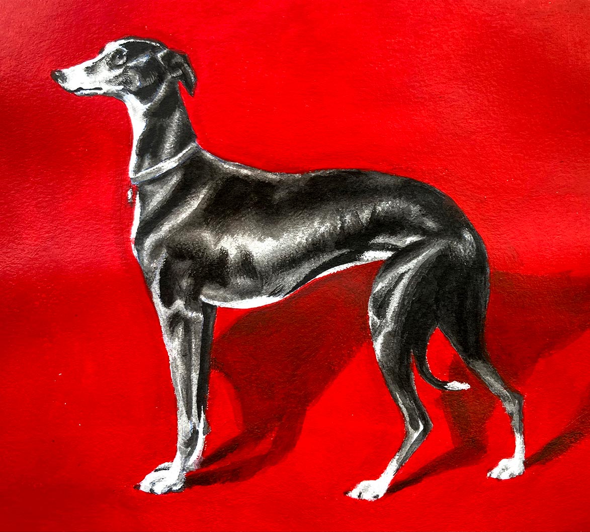 ‘Greyhound with red background’ Ink and watercolour